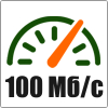 Скорость до 100 Мбит/с