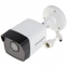 IP-камера Hikvision DS-2CD1021-I(D) (4 ММ) 2 Мп 3